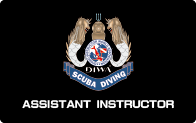 Assistant Instructor