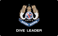 Dive Leader