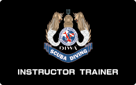 Instructor Trainer