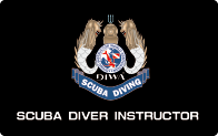 Scuba Diving Instructor