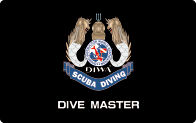 Dive Master