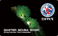 Master Scuba Diver