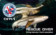 Rescue Diver